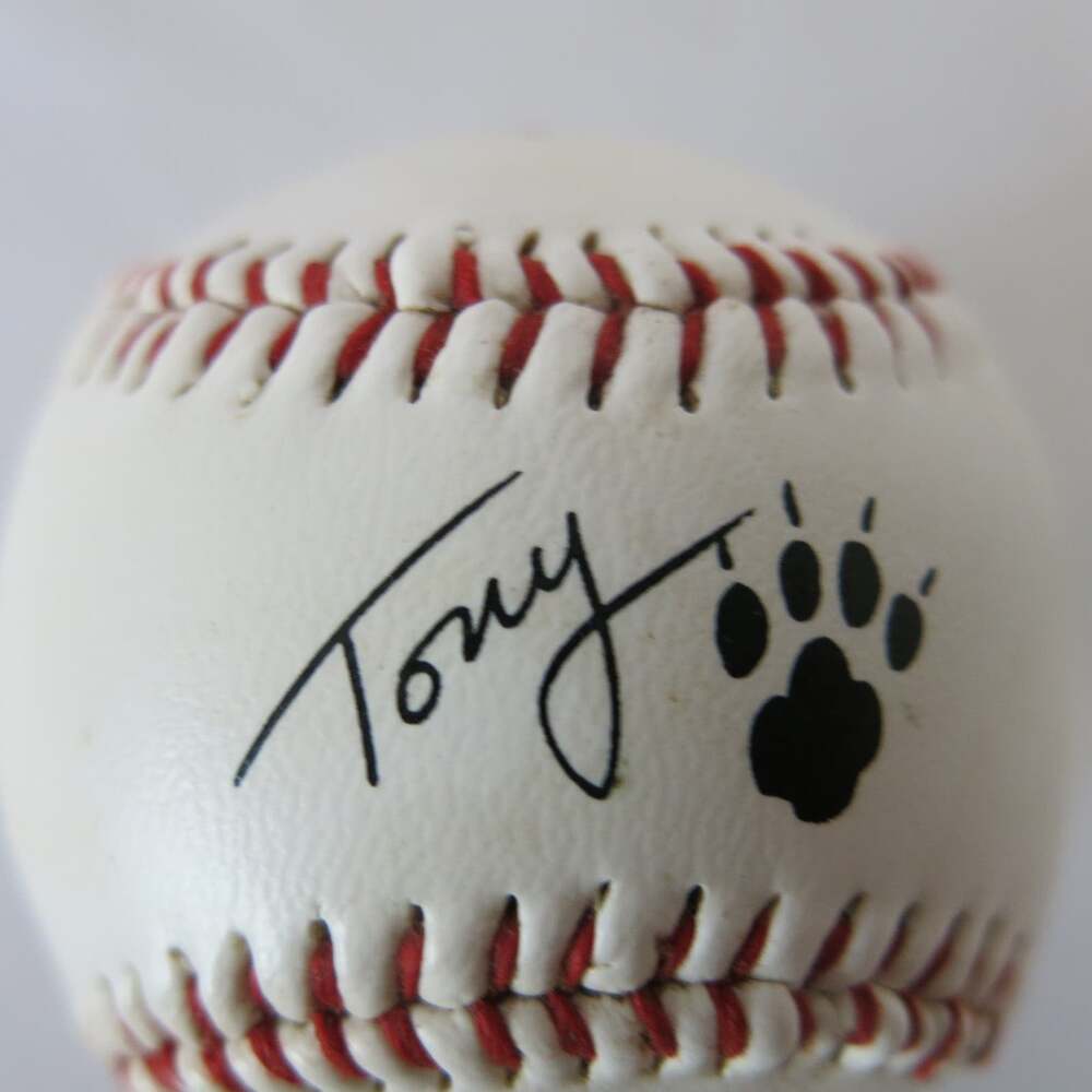 Vintage TONY THE TIGER Frosted Flakes Baseball 1990's Cereal Promo Kellogg - Picture 4 of 8